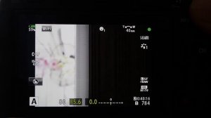 Olympus OM-D E-M1 Mark II - новые пункты и возможности меню