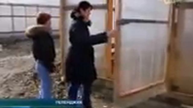 Как ведут бизнес кубанские женщины смотреть онлайн
