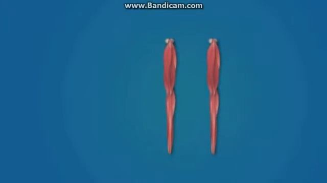 Почему сидеть вредно смотреть онлайн