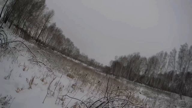 Загонная охота на косулю. Закрытие сезона 2023-2024г. смотреть онлайн