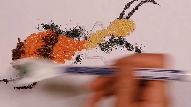 Gedicht mit Illustration(Oh Verzeihung, sagte die Ameise) смотреть онлайн