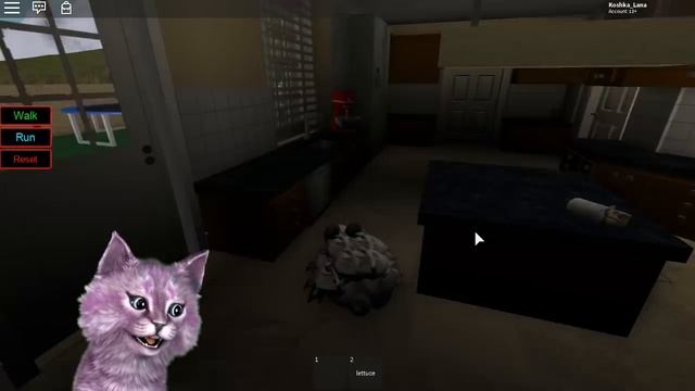 СИМУЛЯТОР КРОЛИКА В РОБЛОКС кошка Лана теперь кролик roblox Bunny Rabbit Simulator смотреть онлайн