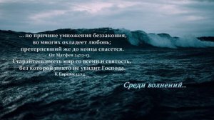 Среди волнений..