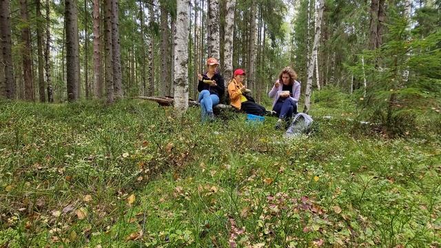 ТИХАЯ ОХОТА\СБОР ГРИБОВ 2023\#грибы2023 #тихаяохота #сборгрибов #грибалка