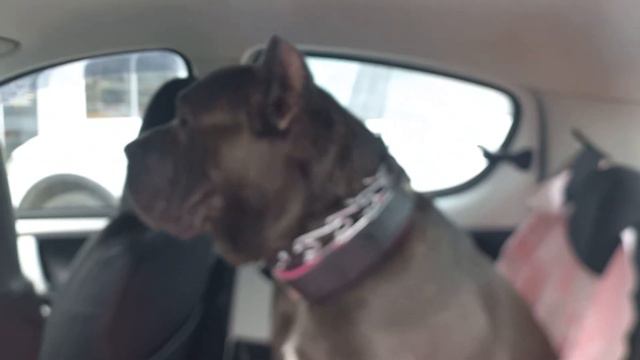 Моте сняли швы. смотреть онлайн