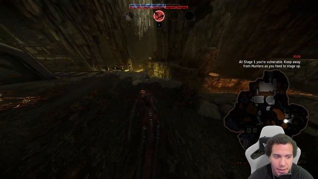 Evolve Stage 2: How To Play The Monster In Arena & Hunt! ? смотреть онлайн