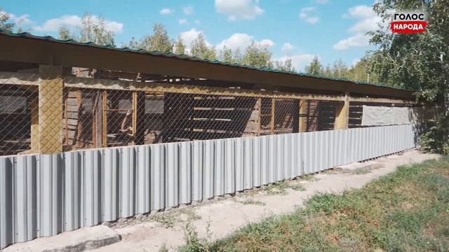 В какую сумму бюджету обходится Зеленый пояс Астаны? смотреть онлайн