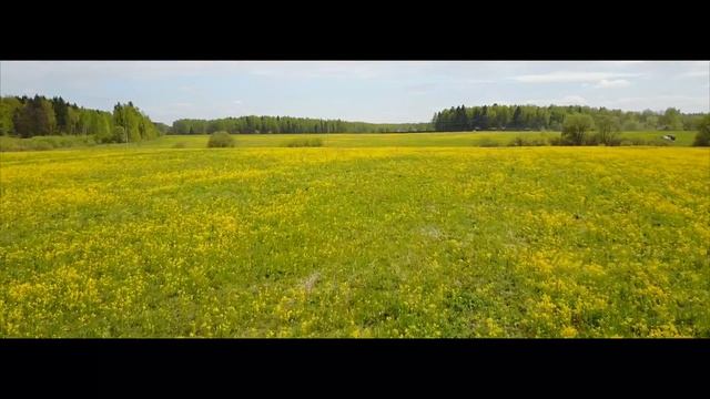 Какое КАЧЕСТВО СЪЕМКИ выбрать? 4K или 2.7K?