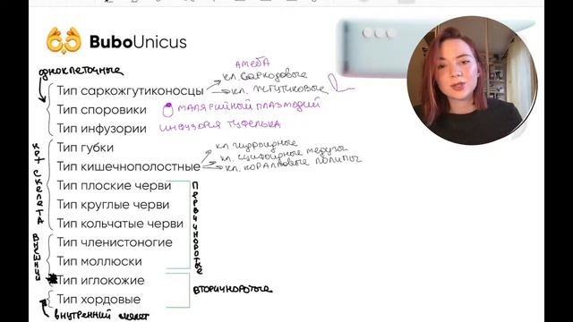 Систематика в зоологии | БИОЛОГИЯ ЕГЭ | Лина Клевер смотреть онлайн