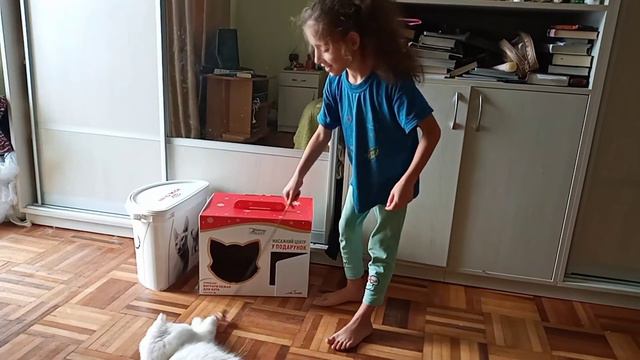 Кошкотерапия