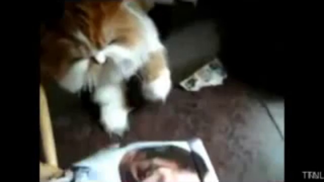 аварии и приколы (3) смотреть онлайн