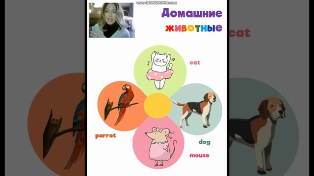 УЧИМ ВМЕСТЕ АНГЛИЙСКИЕ СЛОВА - ДОМАШНИЕ ЖИВОТНЫЕ смотреть онлайн