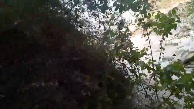 ЧЕРНОГОРИЯ VLOG#2 Скадарское озеро смотреть онлайн