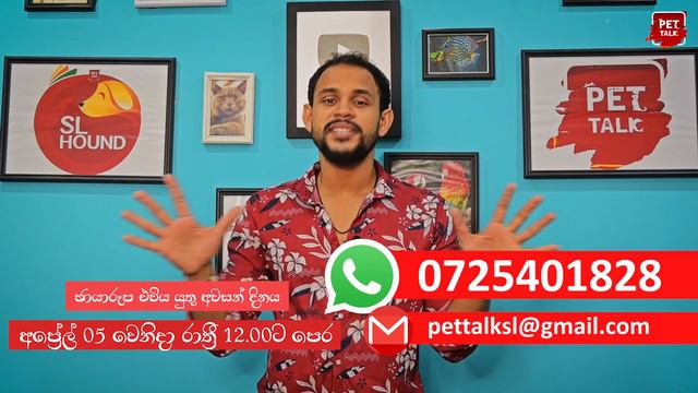 Update : කාලය අවසන් නිසා ඡායාරූප වීඩියෝ මෙතැන් සිට බාර ගන්නේ නැත Pet Talk смотреть онлайн