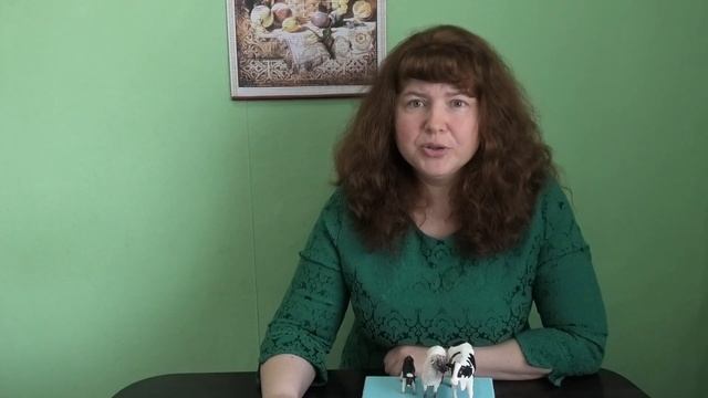 Небесный подарок. Библейская история для детей. Оксана Покрова. 02.05.2020 смотреть онлайн