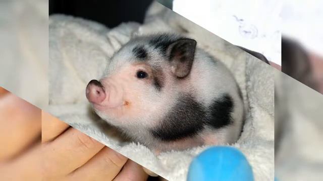 Прекрасный мир