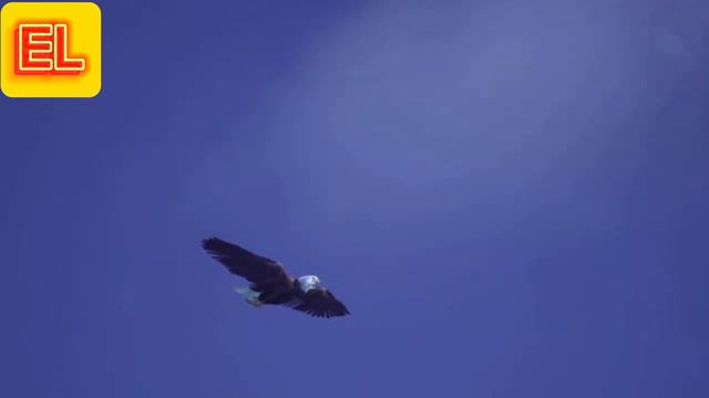 Притча+Мотивация смотреть онлайн