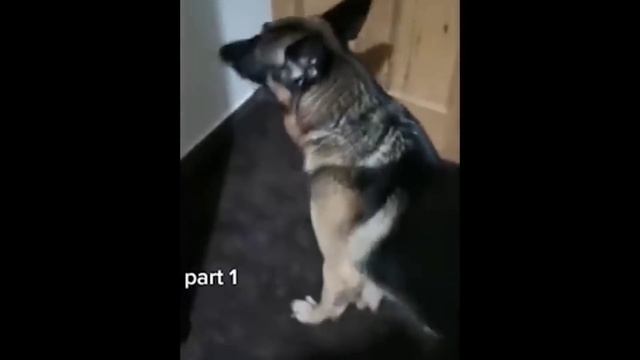 6 самых СТРАШНЫХ видео в мире смотреть онлайн