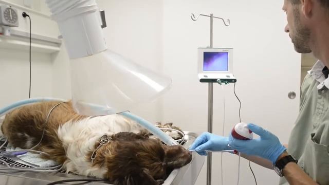 Портативный видеоскоп VScope от компании KRUUSE