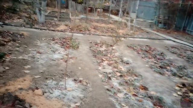 САД ГОТОВ НА ОТДЫХ, ВСЕ УКРЫЛИ смотреть онлайн