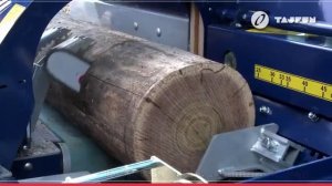 Дровокол ТАЙФУН RCA