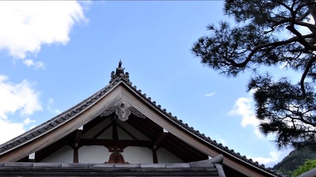 Kyoto. Bamboo Forest. Goo Shrine. Киото. Бамбуковый лес. Святилище Гоо