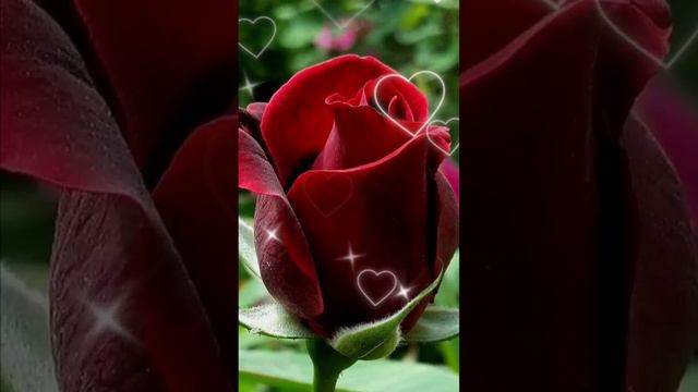 Я хочу быть самым лучшим❤️ #любовь #счастье #смс #любить смотреть онлайн