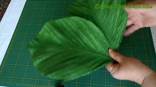 Листья для ростовых цветов смотреть онлайн