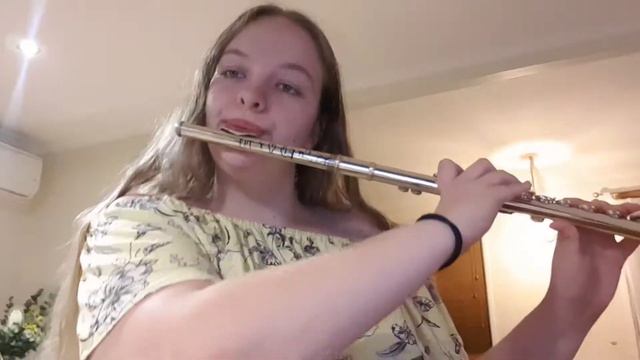 Gives You Hell - All American Rejects Flute Cover смотреть онлайн