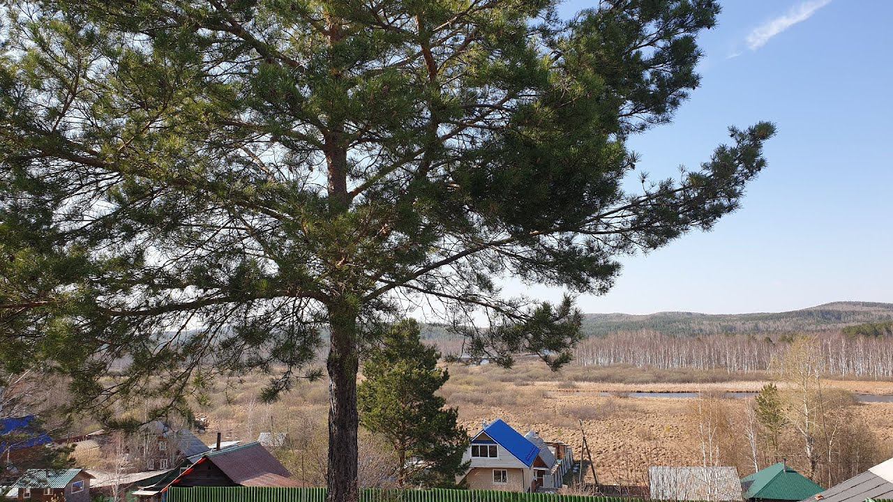 Два дня со мной / Ремонт на кухне / Отдых на природе смотреть онлайн