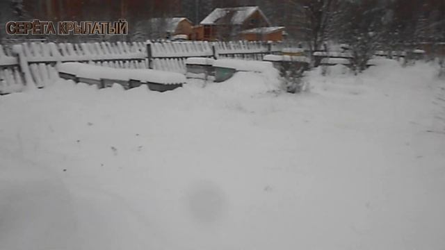 ??? ЗИМОВКА ПЧЁЛ ПОД СНЕГОМ, НАЧАЛО. КАК ЗАСЫПАТЬ УЛЬИ СНЕГОМ ПОЛНОСТЬЮ ИЛИ НЕТ ??? смотреть онлайн
