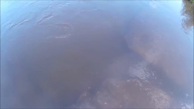 Зябликов ловит Видеблог 15. РУЛь. Игра УЛ блесны НоричS 4 гр смотреть онлайн