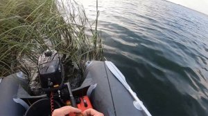 Ловля окуня на Старооскольском водохранилище.