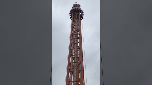 Сочи-парк.Аттракцион Жар-птица.#Сочипарк