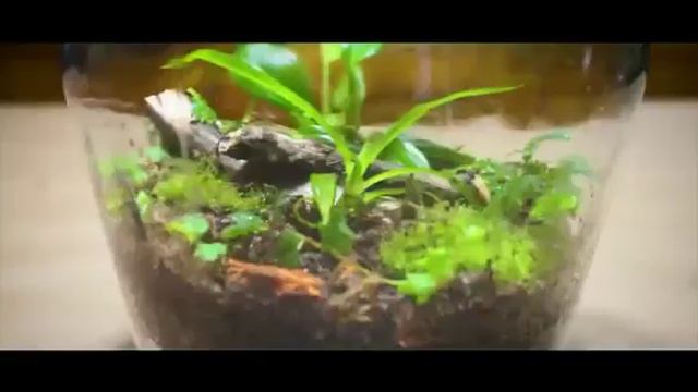 КИТАЙ НА ЛУНЕ! БАЗЫ НА ЛУНЕ И МАРСЕ 2030! NEWS!