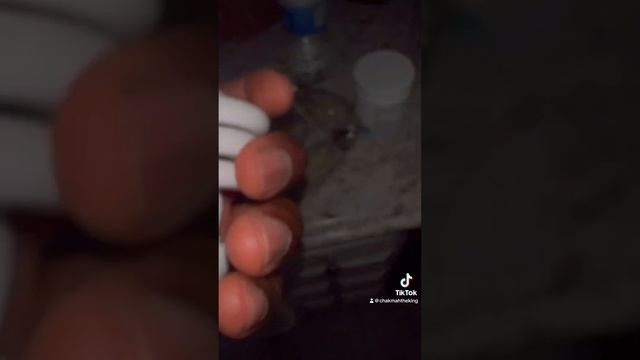 Fixing a flickering dimmer light! Simple fix to try! смотреть онлайн