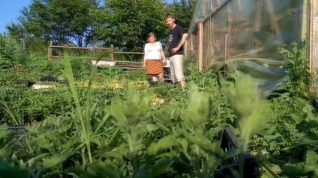 Цветы семьи Рощупкиных смотреть онлайн