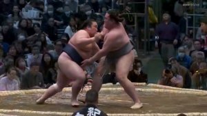 СУМО НА РУССКОМ! 1 день Хару 24!