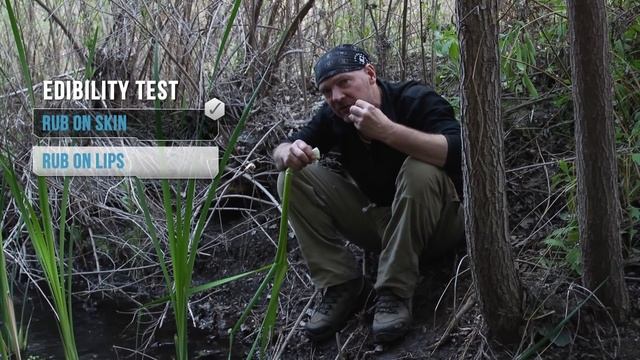 AFTER EARTH Survival Tips - Episode 4: What To Eat смотреть онлайн