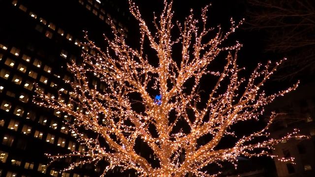 Бесплатный шаблон видео - Новогодний фон - 000009 смотреть онлайн