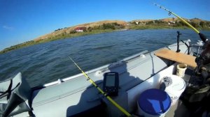 Рыбалка на Дону и снова  База отдыха Пятиизбянка.