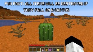 How to Find Cactus in Minecraft (All Versions)