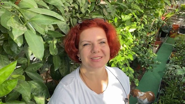 Тем временем... Солнечный денек, уборка закончена))) смотреть онлайн