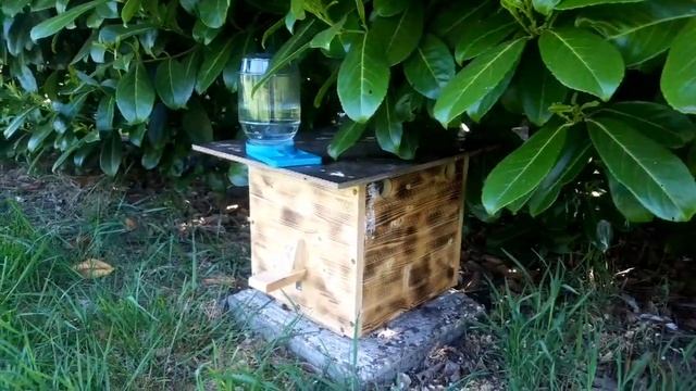 Строительные Модели