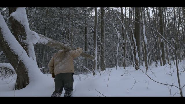 Bushcraft: Building A Camp Shelter In Winter