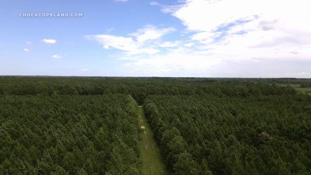 #DavinciResolve Portfolio Project - #DJI #Mini3Pro смотреть онлайн