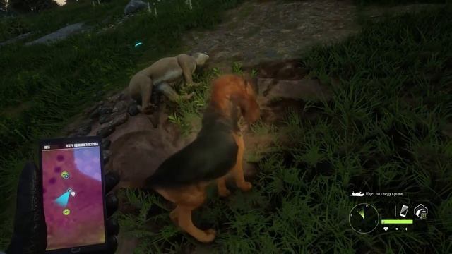 Охотничья собака в theHunter Call of the Wild (Silver Ridge Peaks) смотреть онлайн