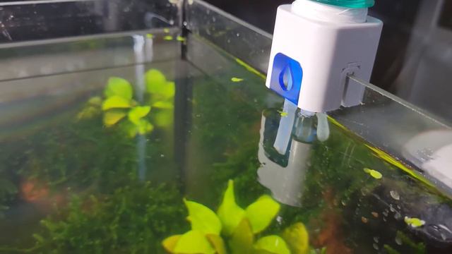 Автодолив с Алиэкспресса