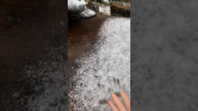 Пошёл снег 🥶😮💨холодно￼❄️☃️🧊🌨 смотреть онлайн