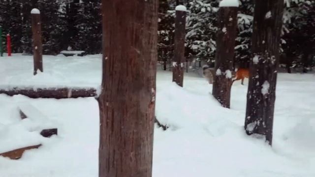 Таежная Рось - мероприятие "Долина Мастеров" смотреть онлайн